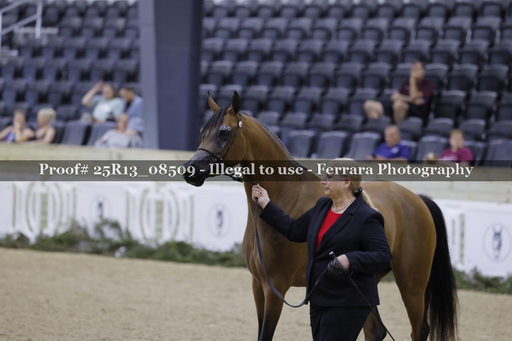 Proof 25R13_08509
