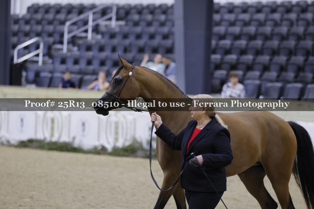Proof 25R13_08510