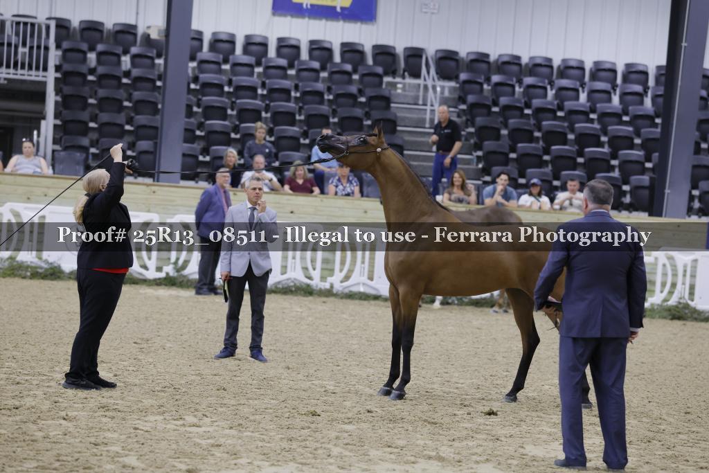 Proof 25R13_08511