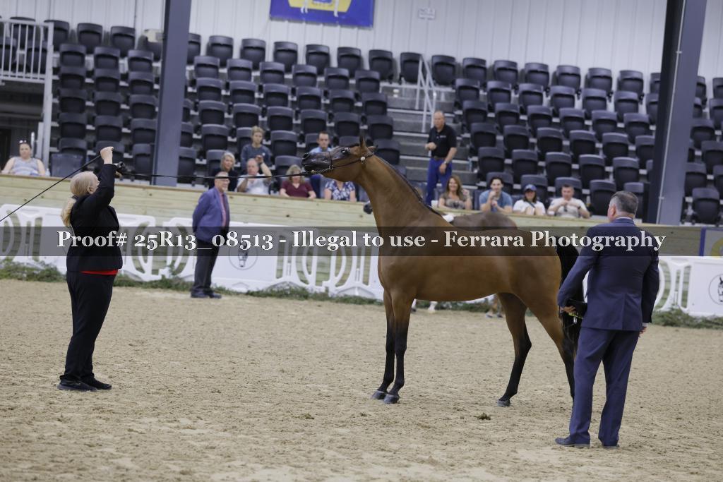 Proof 25R13_08513