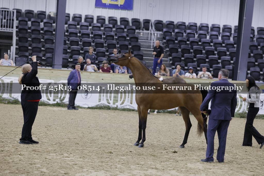 Proof 25R13_08514