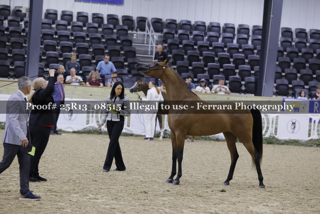 Proof 25R13_08515