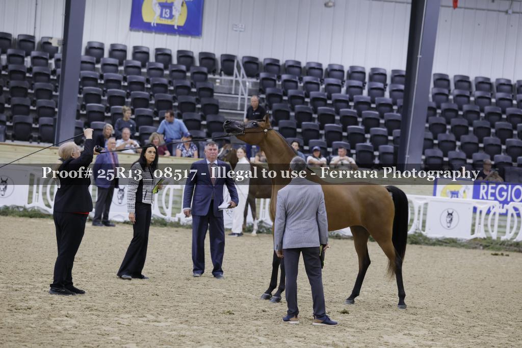 Proof 25R13_08517