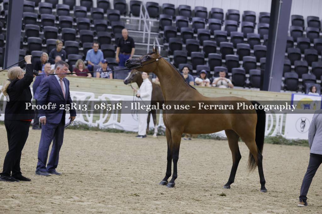 Proof 25R13_08518