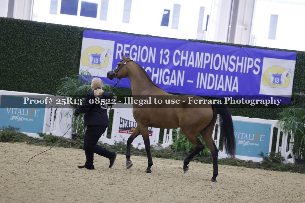 Proof 25R13_08522