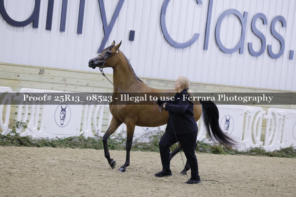 Proof 25R13_08523