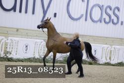 25R13_08523 proof