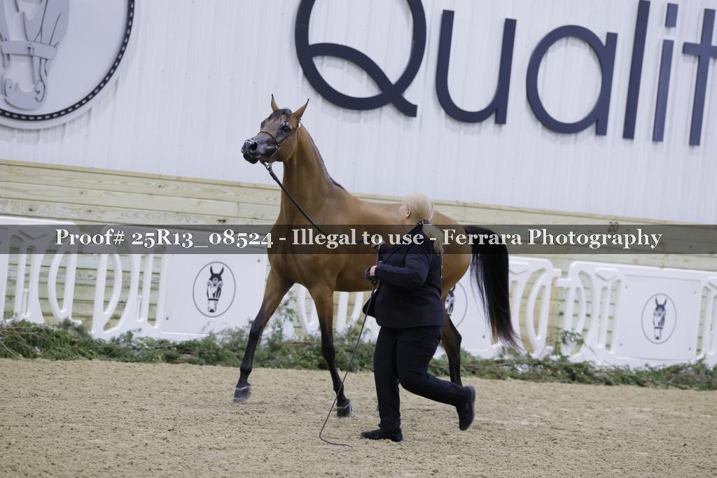 Proof 25R13_08524