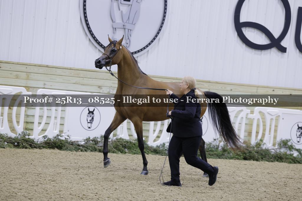 Proof 25R13_08525