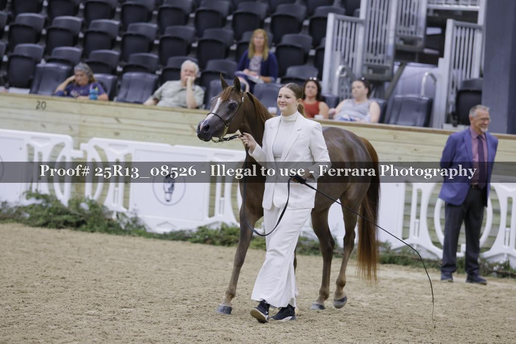 Proof 25R13_08526