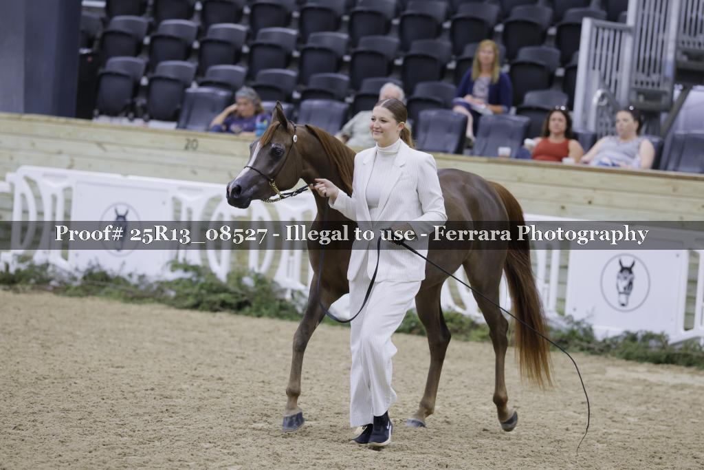 Proof 25R13_08527
