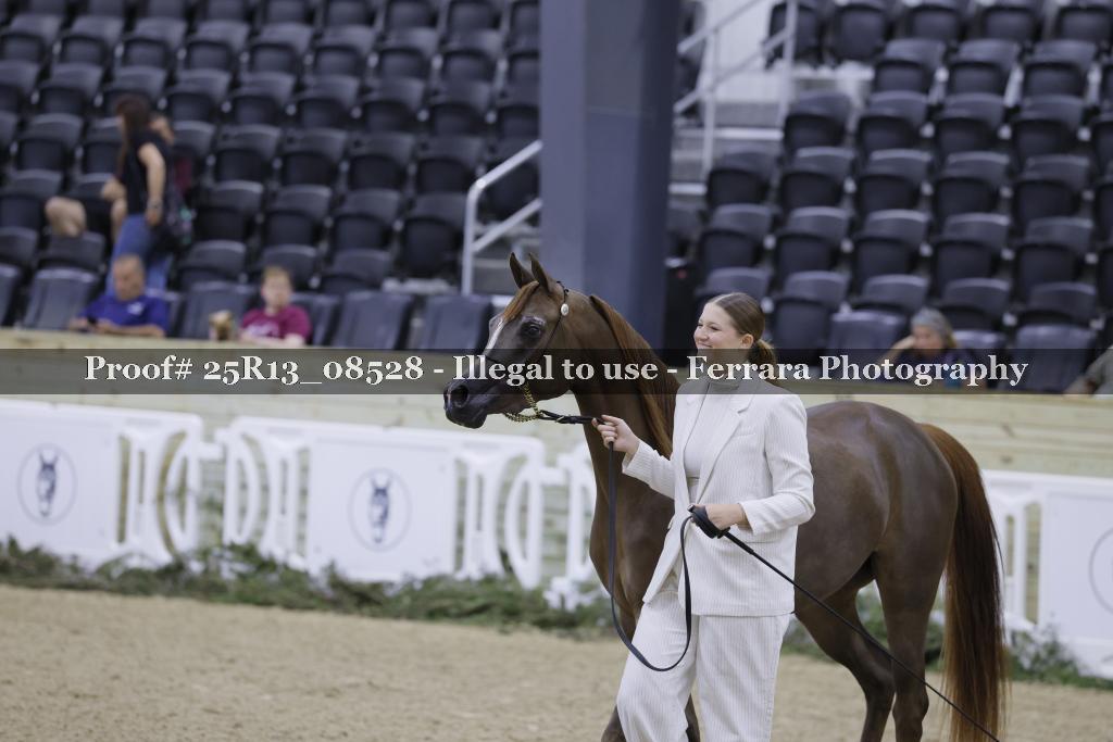 Proof 25R13_08528
