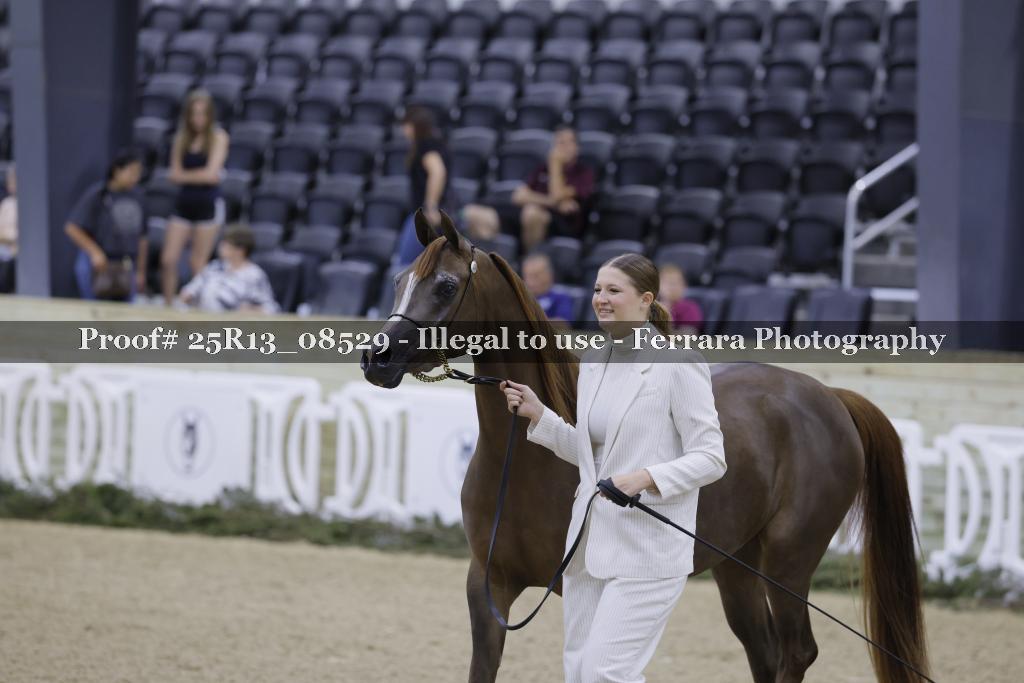 Proof 25R13_08529
