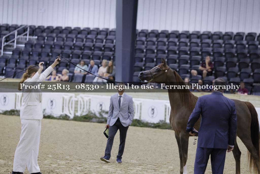 Proof 25R13_08530