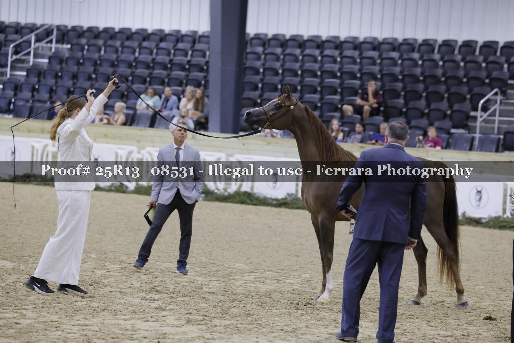Proof 25R13_08531