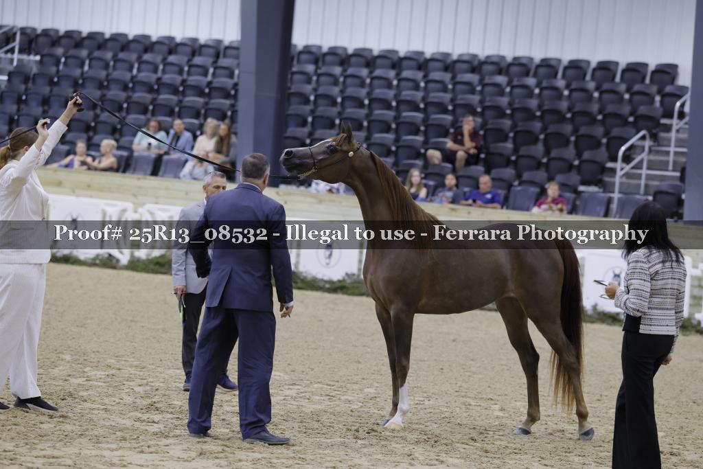 Proof 25R13_08532