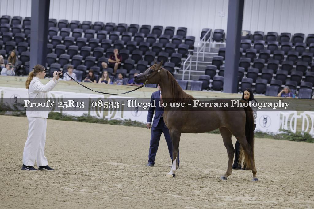 Proof 25R13_08533