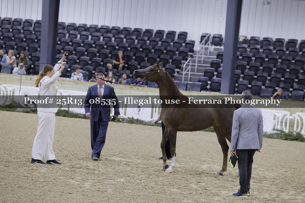 Proof 25R13_08535