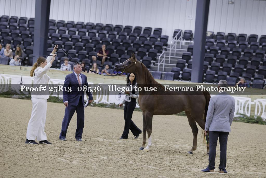 Proof 25R13_08536