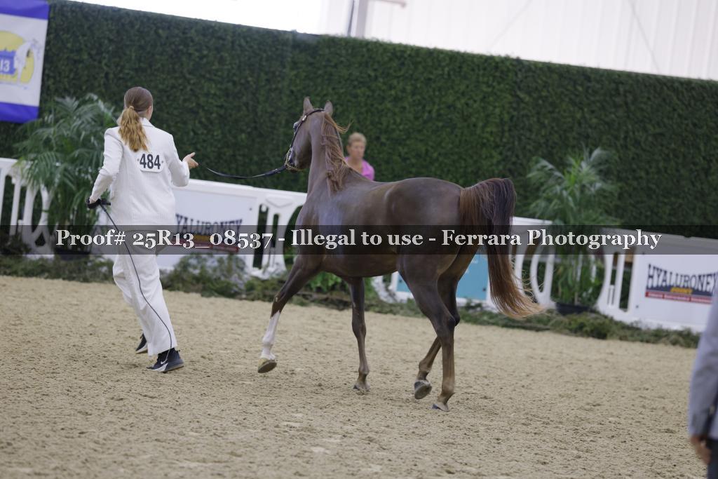 Proof 25R13_08537