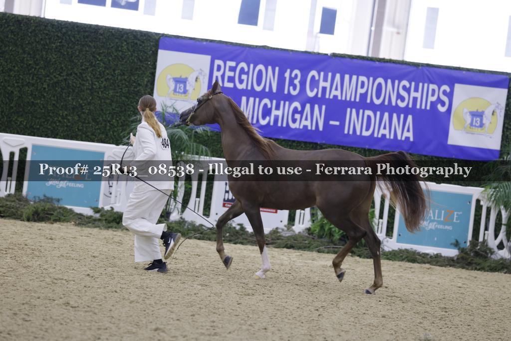 Proof 25R13_08538