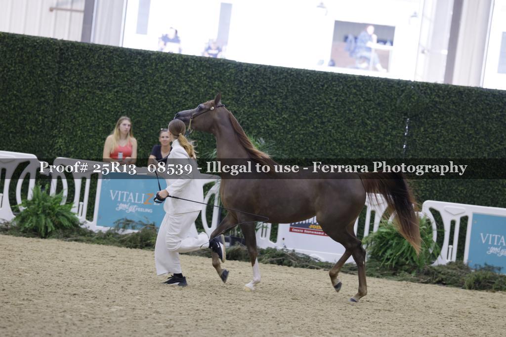 Proof 25R13_08539
