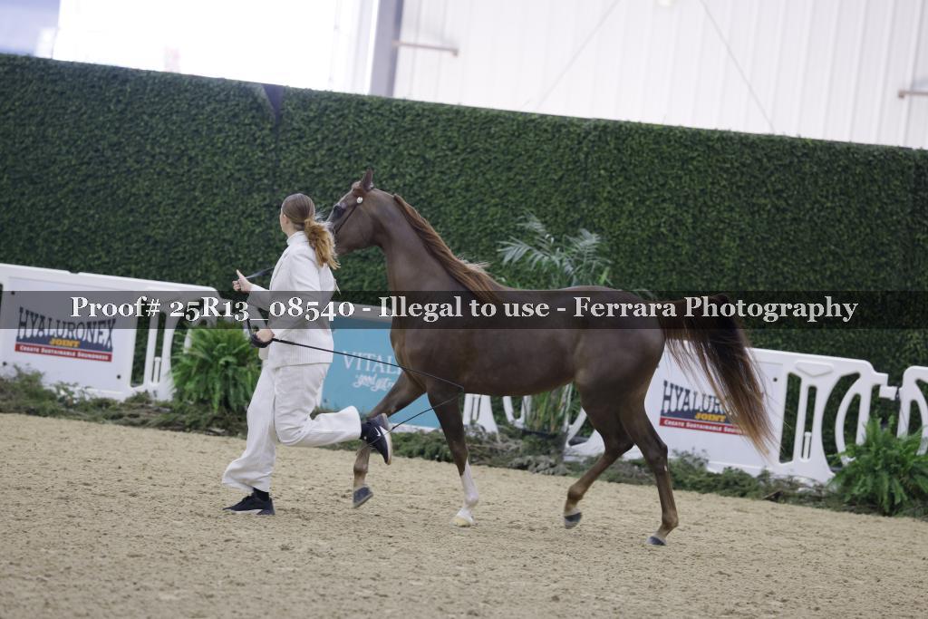 Proof 25R13_08540