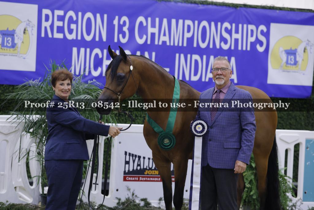 Proof 25R13_08542