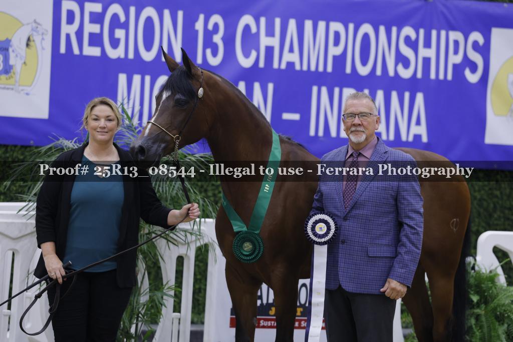 Proof 25R13_08544