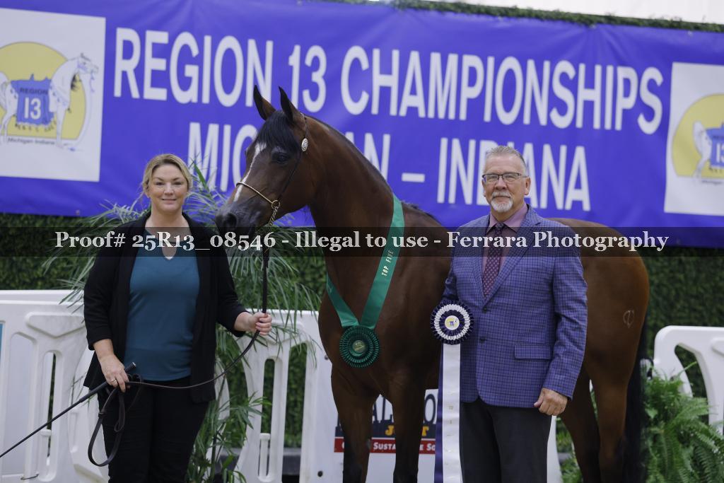 Proof 25R13_08546