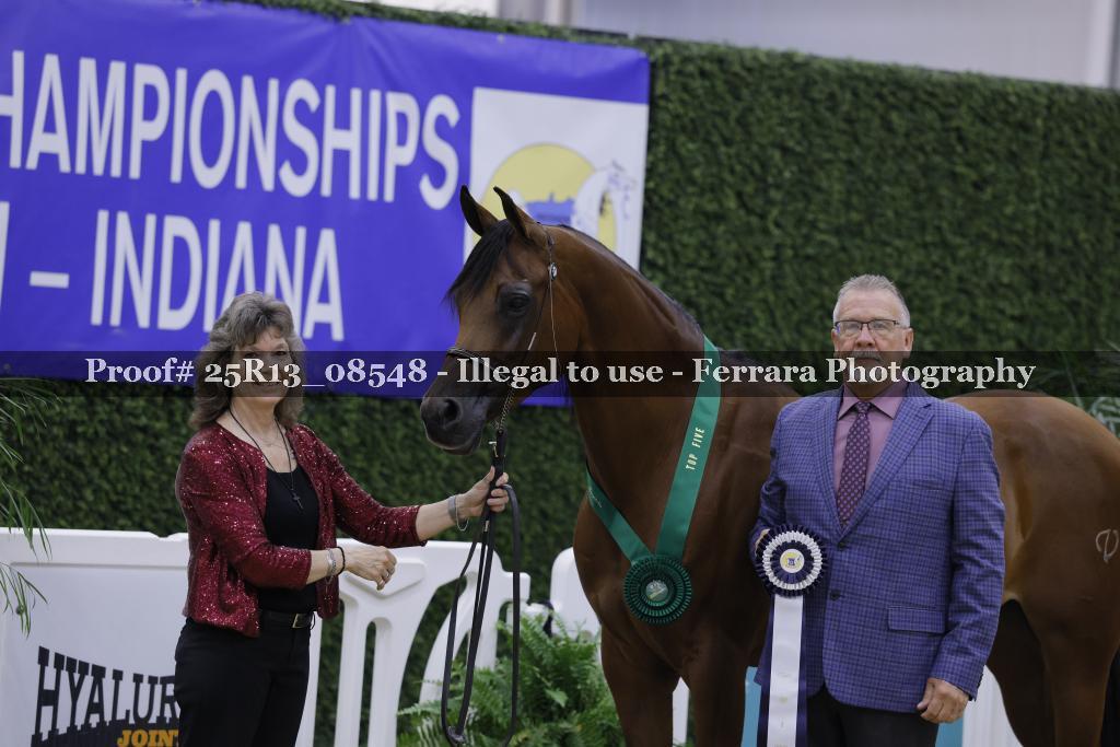 Proof 25R13_08548