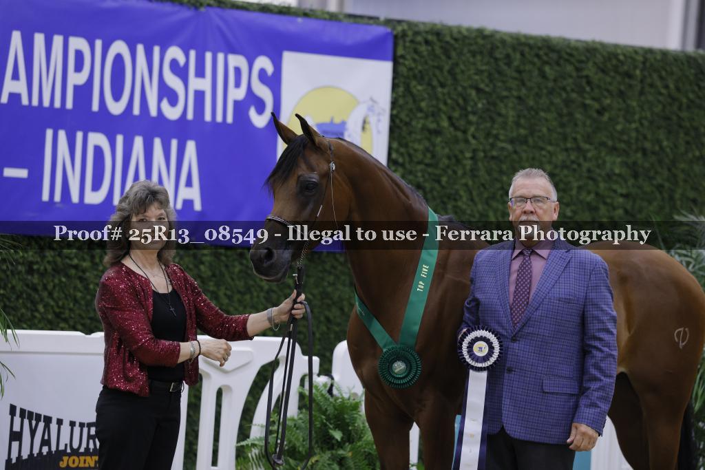 Proof 25R13_08549