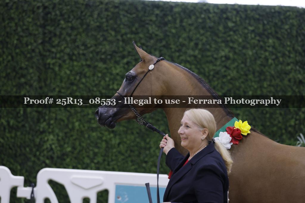 Proof 25R13_08553