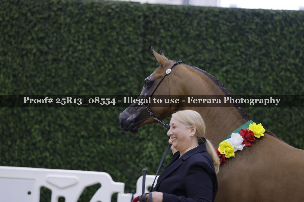 Proof 25R13_08554