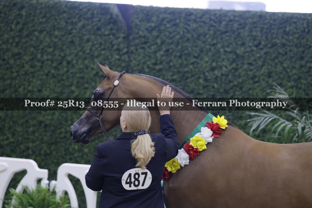 Proof 25R13_08555