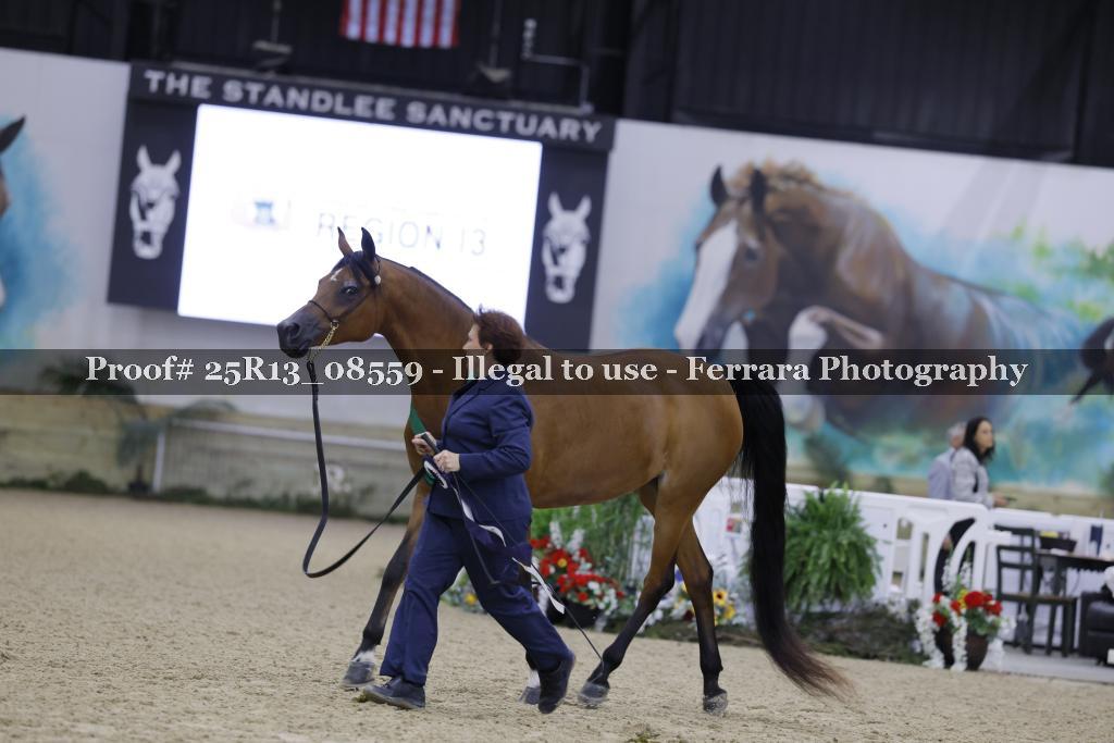 Proof 25R13_08559