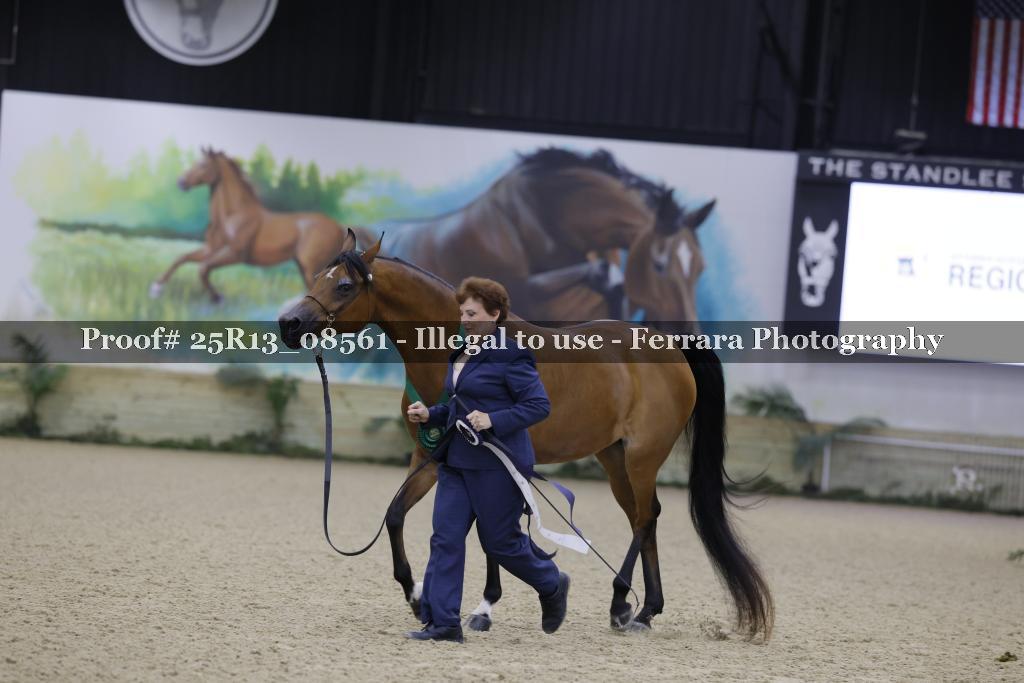 Proof 25R13_08561
