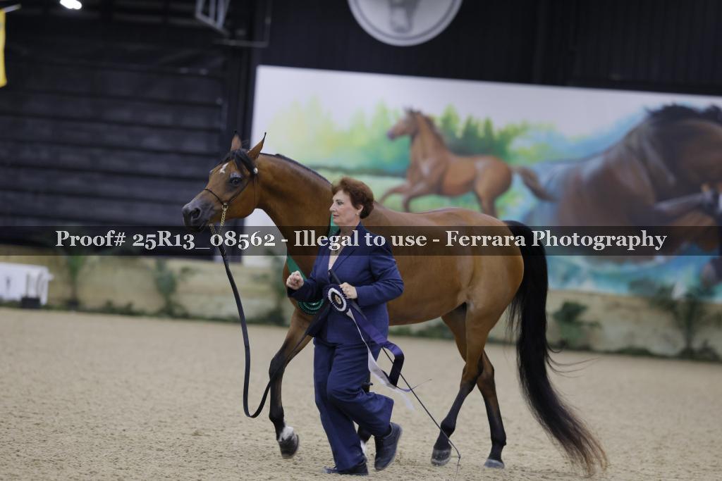 Proof 25R13_08562