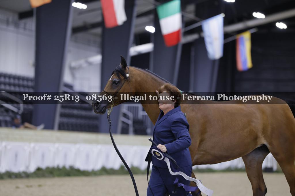 Proof 25R13_08563