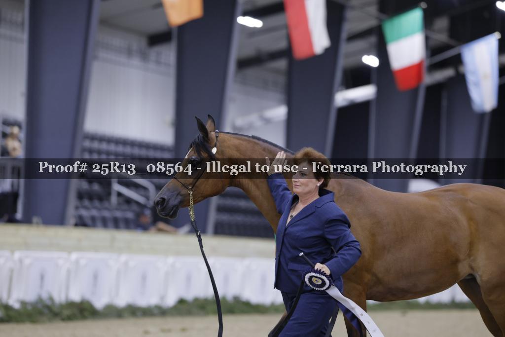 Proof 25R13_08564