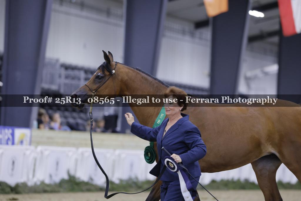 Proof 25R13_08565