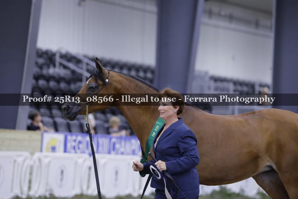 Proof 25R13_08566