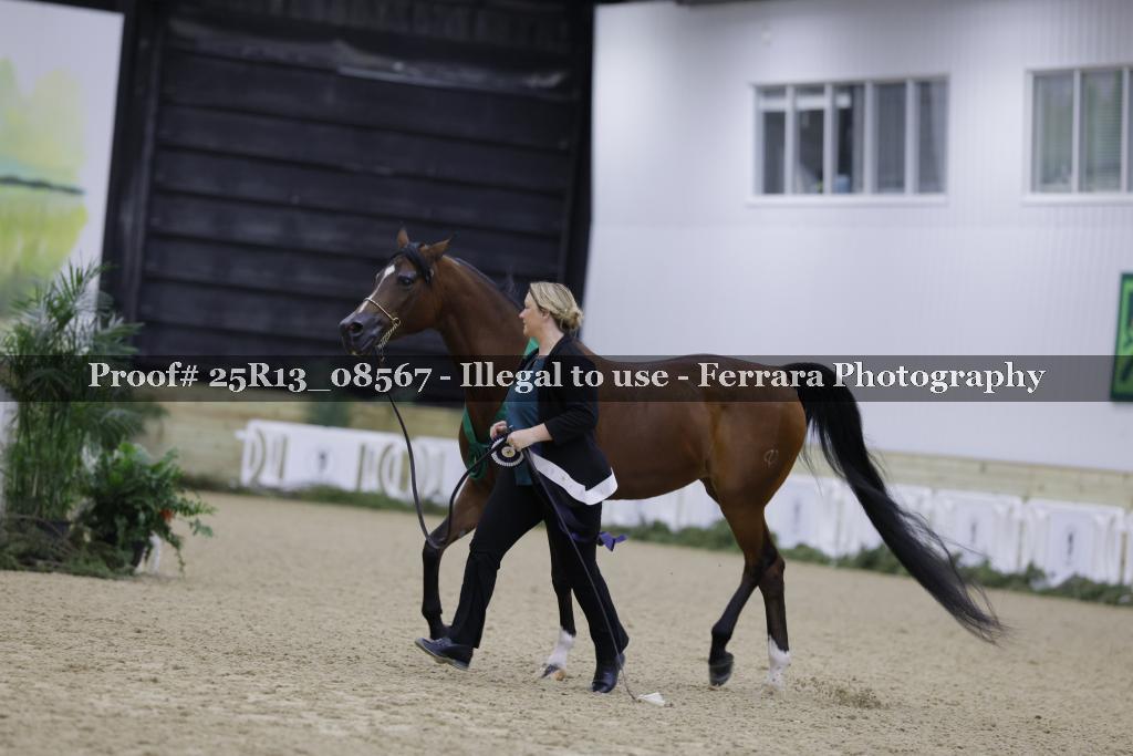 Proof 25R13_08567