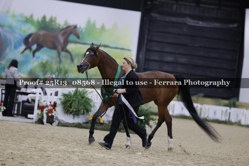 Proof 25R13_08568