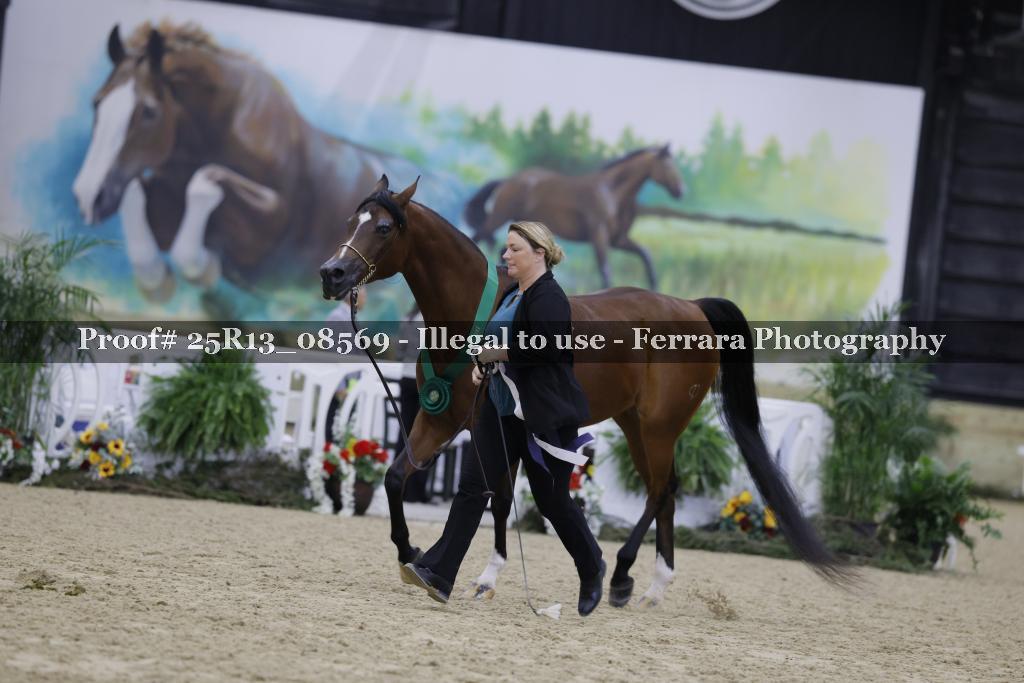 Proof 25R13_08569