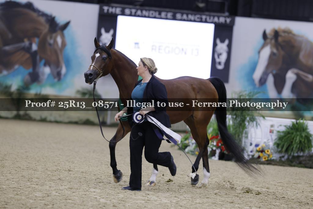 Proof 25R13_08571