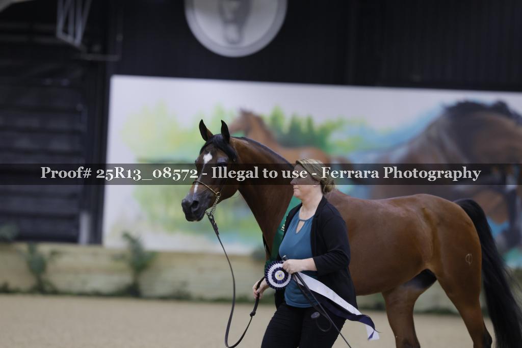 Proof 25R13_08572