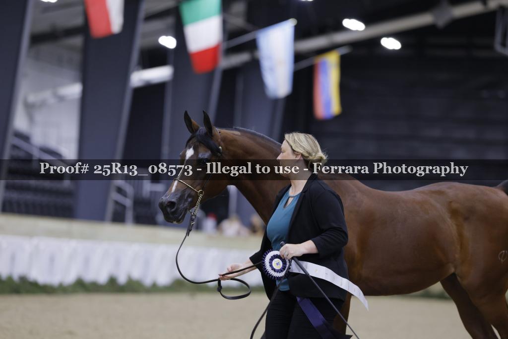 Proof 25R13_08573