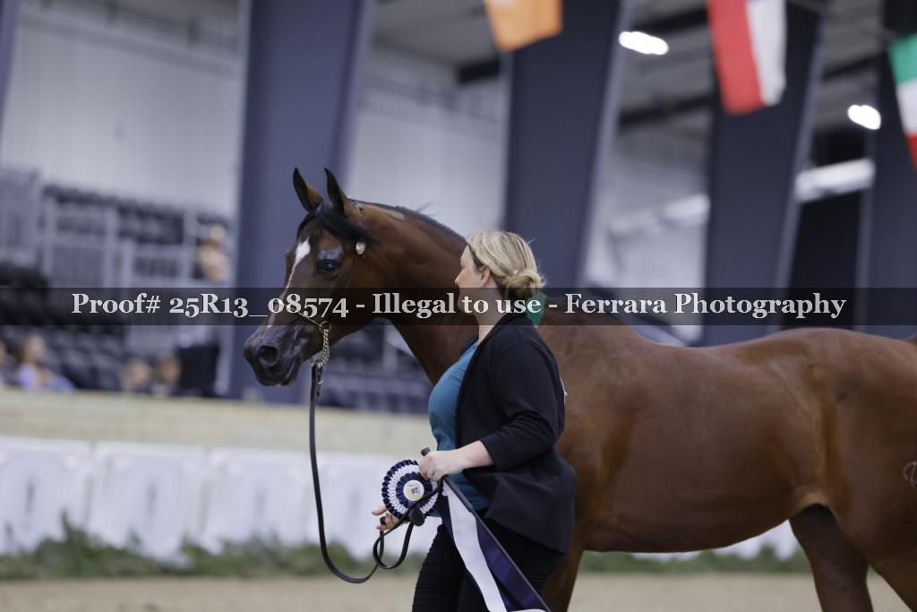 Proof 25R13_08574
