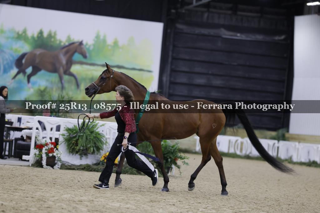 Proof 25R13_08575